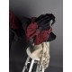 Alice Girl Magic Book Blouse(6th Pre-Order/Full Payment Without Shipping)